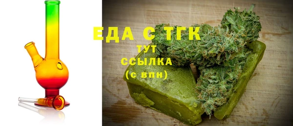 индика Арсеньев