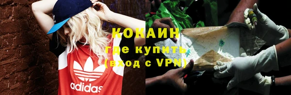 индика Арсеньев