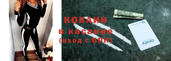 индика Арсеньев