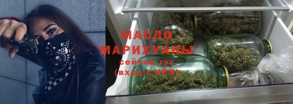 индика Арсеньев