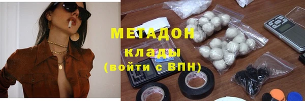индика Арсеньев