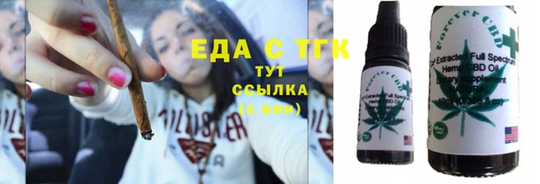 индика Арсеньев