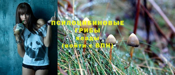индика Арсеньев