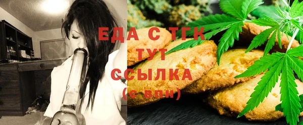 индика Арсеньев