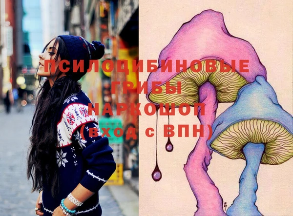 молекула духа Аркадак