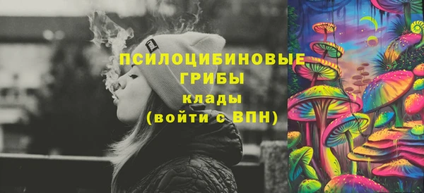 молекула духа Аркадак