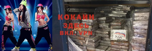 индика Арсеньев