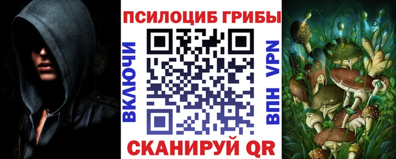 Псилоцибиновые грибы мухоморы  как найти закладки  Светлоград 